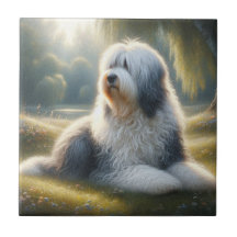 Perro pastor inglés antiguo