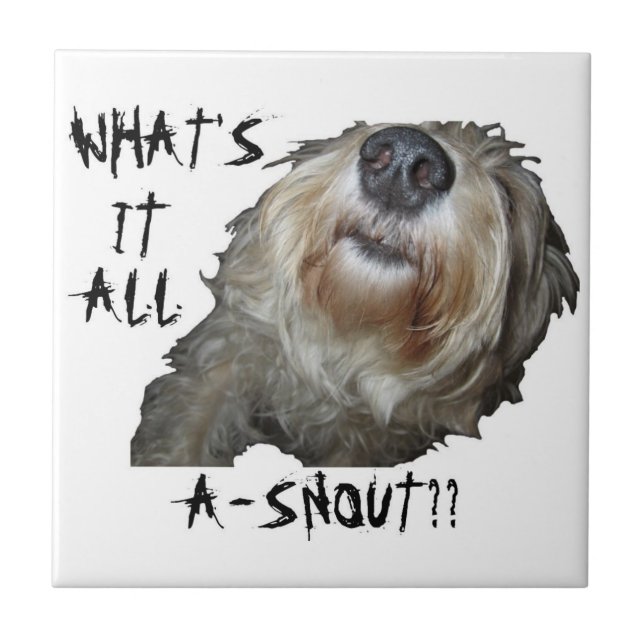 Azulejo Perro "¿QUÉ ES TODO A-SNOUT?" Mosaico (Frente)