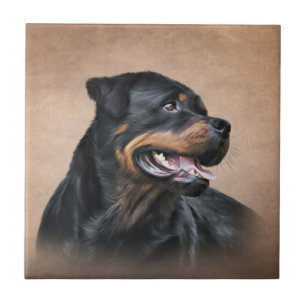 Azulejo Perro Rottweiler