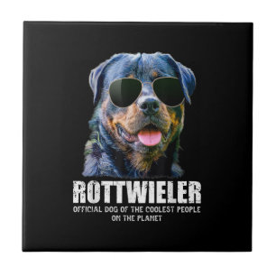 Azulejo Perro Rottweiler De Las Personas Más Frías Del Pla