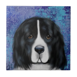 Azulejo Perro Terranova
