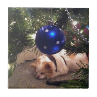 Azulejo Perro y ornamento del navidad