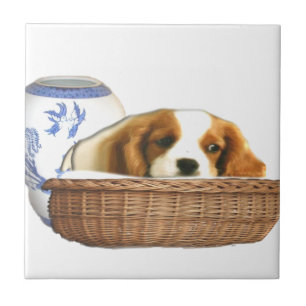 Azulejo Perros de Cachorro