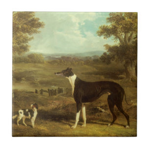 Azulejo Perros, Greyhound y Spaniel, Doctor Fop por Herrin