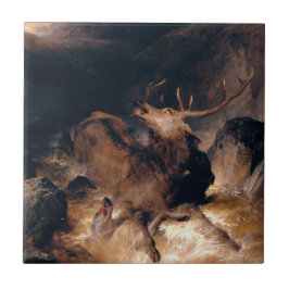 Azulejo Perros venados y atormentados en una transmisión t