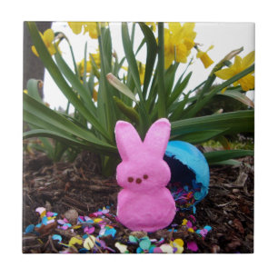 Azulejo Personaliza el conejo de Pascua Arte del destino d