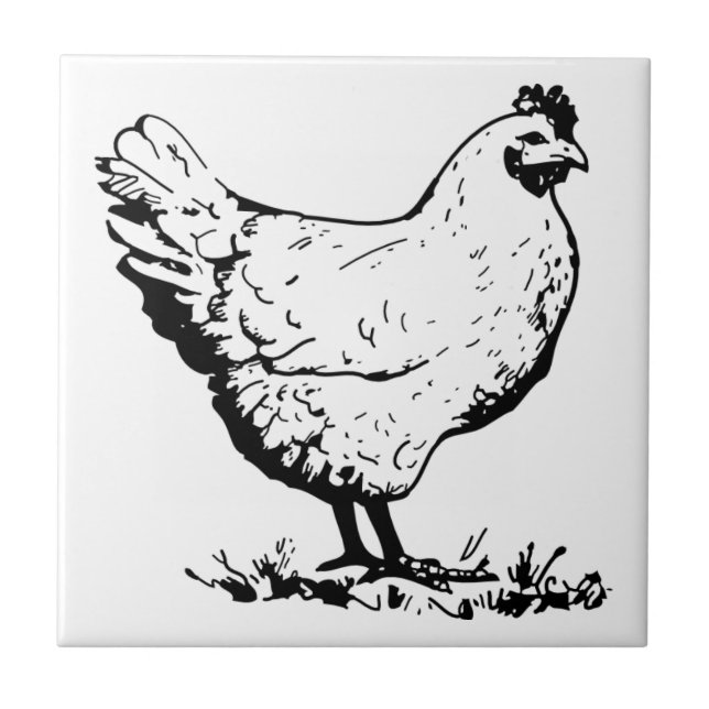 Azulejo Personalizado de gallos de pollo (Frente)