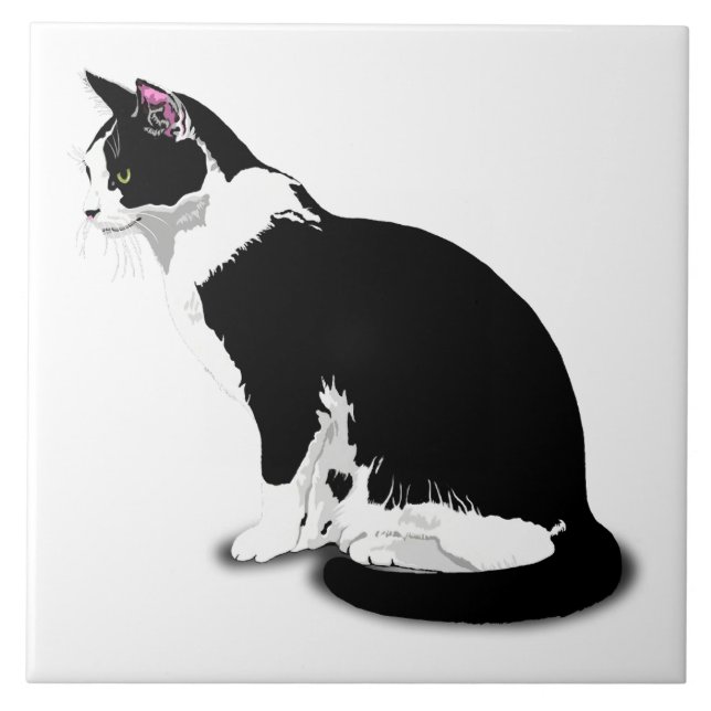Azulejo Personalizado de gato negro y blanco (Frente)