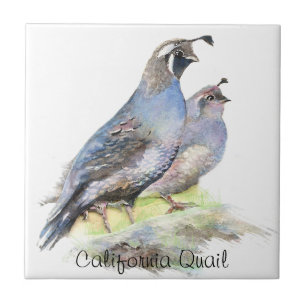 Azulejo Personalizado Watercolor California Quail birds