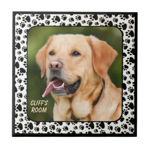 AZULEJO PERSONALIZAR AÑADIR MASCOTAS FOTOGRAFÍA ALARMA C