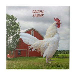 AZULEJO PERSONALIZAR BLANCO ROCK ROOSTER CERAMIC TILE