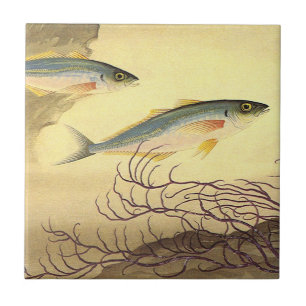 Azulejo Pescado caballa nadando en el océano