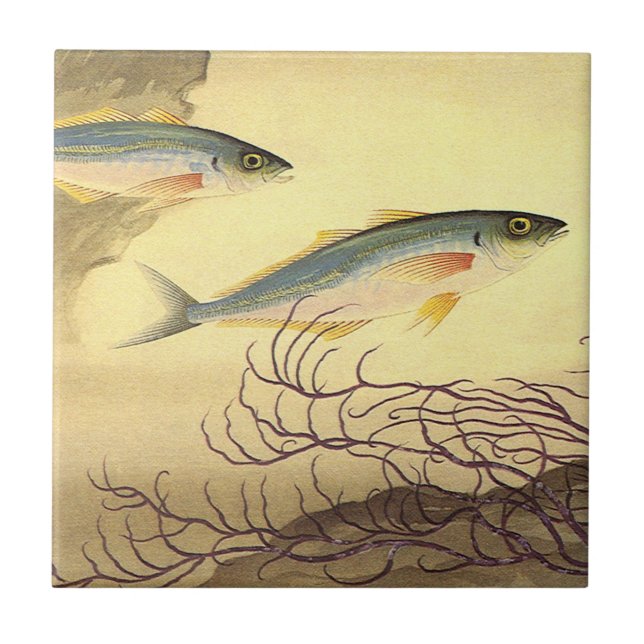 Azulejo Pescado caballa nadando en el océano (Frente)