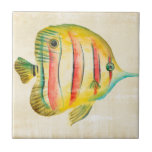Azulejo Pescado colorido<br><div class="desc">Colorido Aquarium Fish 2 Artista: Chariklia Zarris</div>