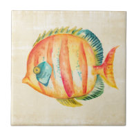 Pescado colorido acuario