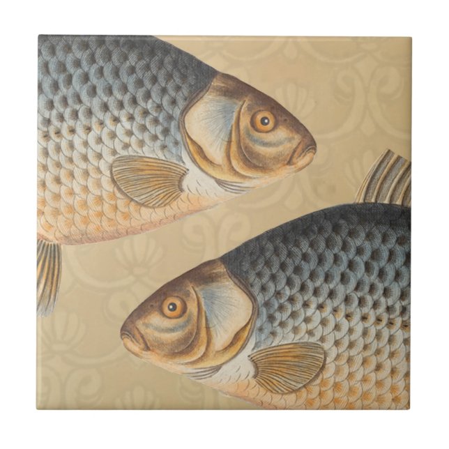Azulejo Pescado de carpa pescar pintura de agua dulce (Frente)