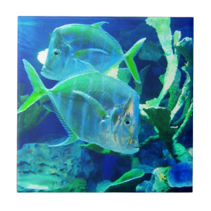 Azulejo Pescado tropical en azul