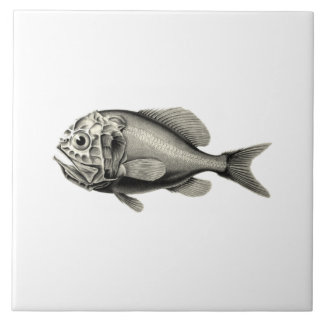 Azulejo Pescados de la ciencia NZ del vintage - Roughy