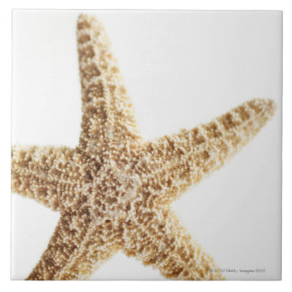 Azulejo Pescados de la estrella