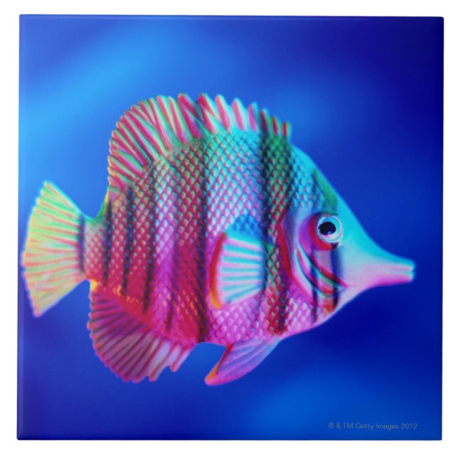 Azulejo Pescados tropicales (Frente)