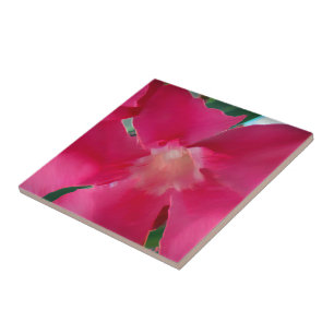 Azulejo Pétalos de flor rosa
