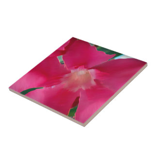 Azulejo Pétalos de flor rosa