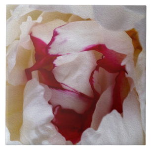 Azulejo Pétalos de Peony