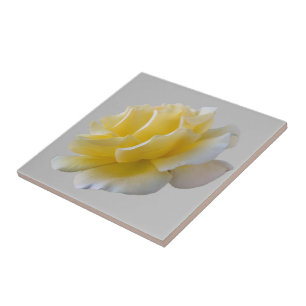 Azulejo Pétalos de rosa amarillo