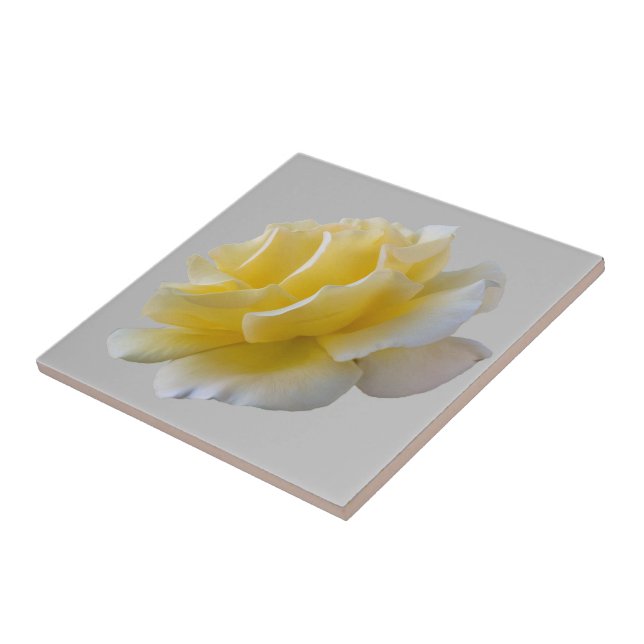 Azulejo Pétalos de rosa amarillo (Lado)