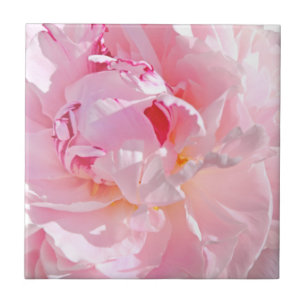 Azulejo pétalos rosados