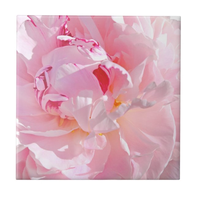 Azulejo pétalos rosados (Frente)