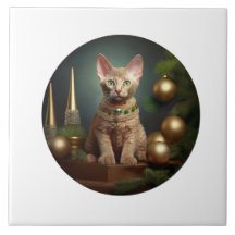 Peterbald Kitten En Navidades