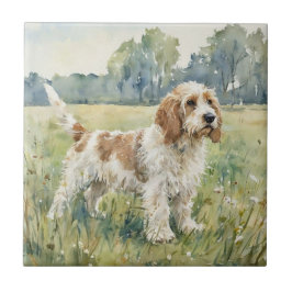 Azulejo Petite Basset Griffon Vandeen - PBGV