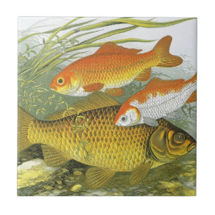 Azulejo Pez Koi Goldfish, Vida Marina Acuática Antigua