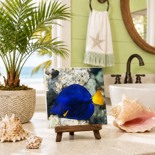 Azulejo Pez Mariposa Azul Arrecife de Coral Océano Pez