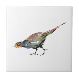 Azulejo Pheasant