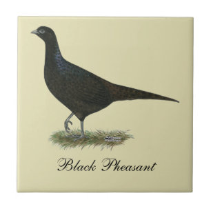 Azulejo Pheasant Black Hen