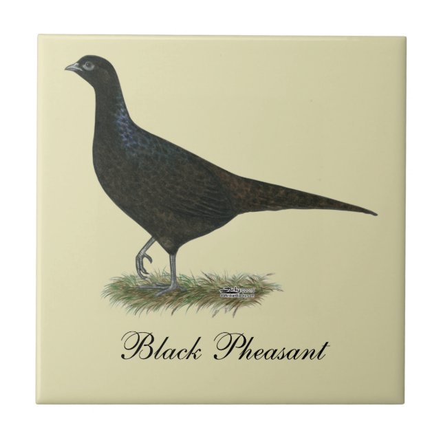 Azulejo Pheasant Black Hen (Frente)