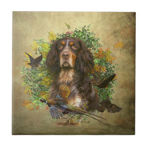 Azulejo Picardía Spaniel, temporada de caza