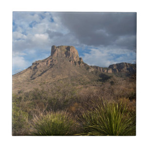 Azulejo Pico Casa Grande, Cuenca Chisos, Big Bend