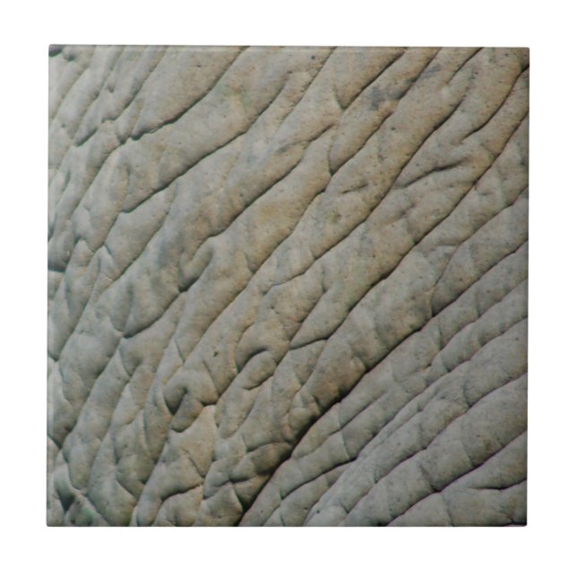 Azulejo Piel elefante personalizada con su nombre (Frente)