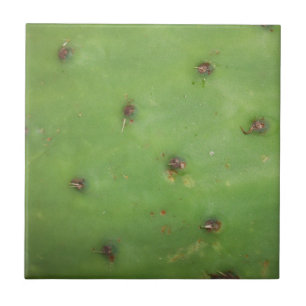 Azulejo Piel Pear Pear Pear Rara Tile