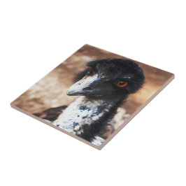 Azulejo Piercing Eyes of the Outback