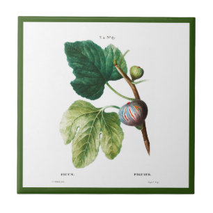 AZULEJO PIERRE-JOSEPH REDOUTÉ "FIGS" ALARMA CERAMIC