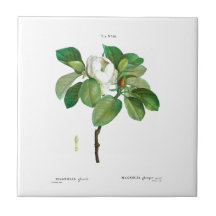 PIERRE-JOSEPH REDOUTÉ MAGNOLIA CERAMIC TILE