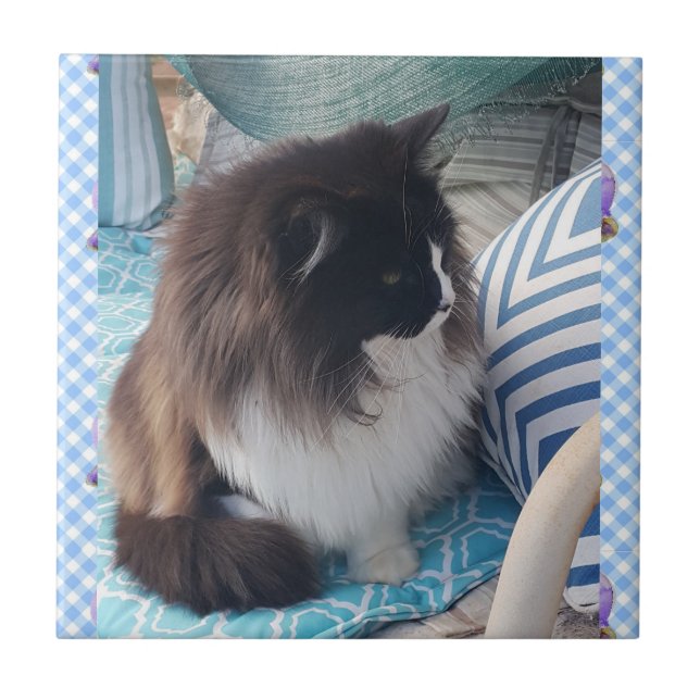 Azulejo Pieza cerámica del gato negro de color blanco (Frente)