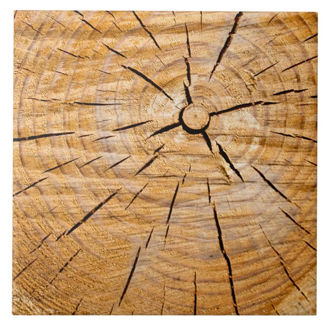 Azulejo Pieza de madera de Knotty (Frente)