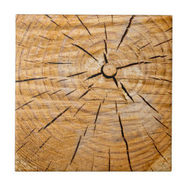 Azulejo Pieza de madera de Knotty