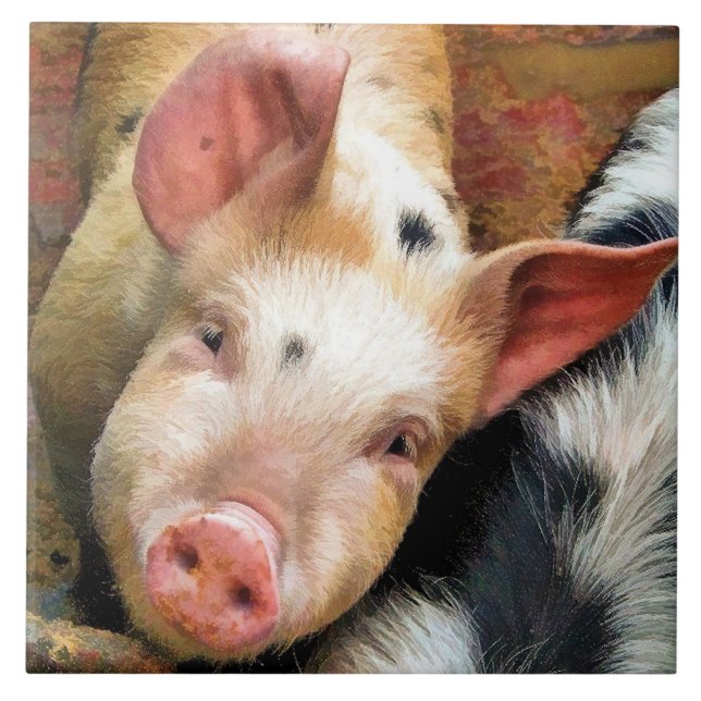 AZULEJO PIGS (Frente)