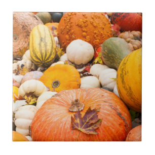 Azulejo Pila De Calabazas Y Calabacines